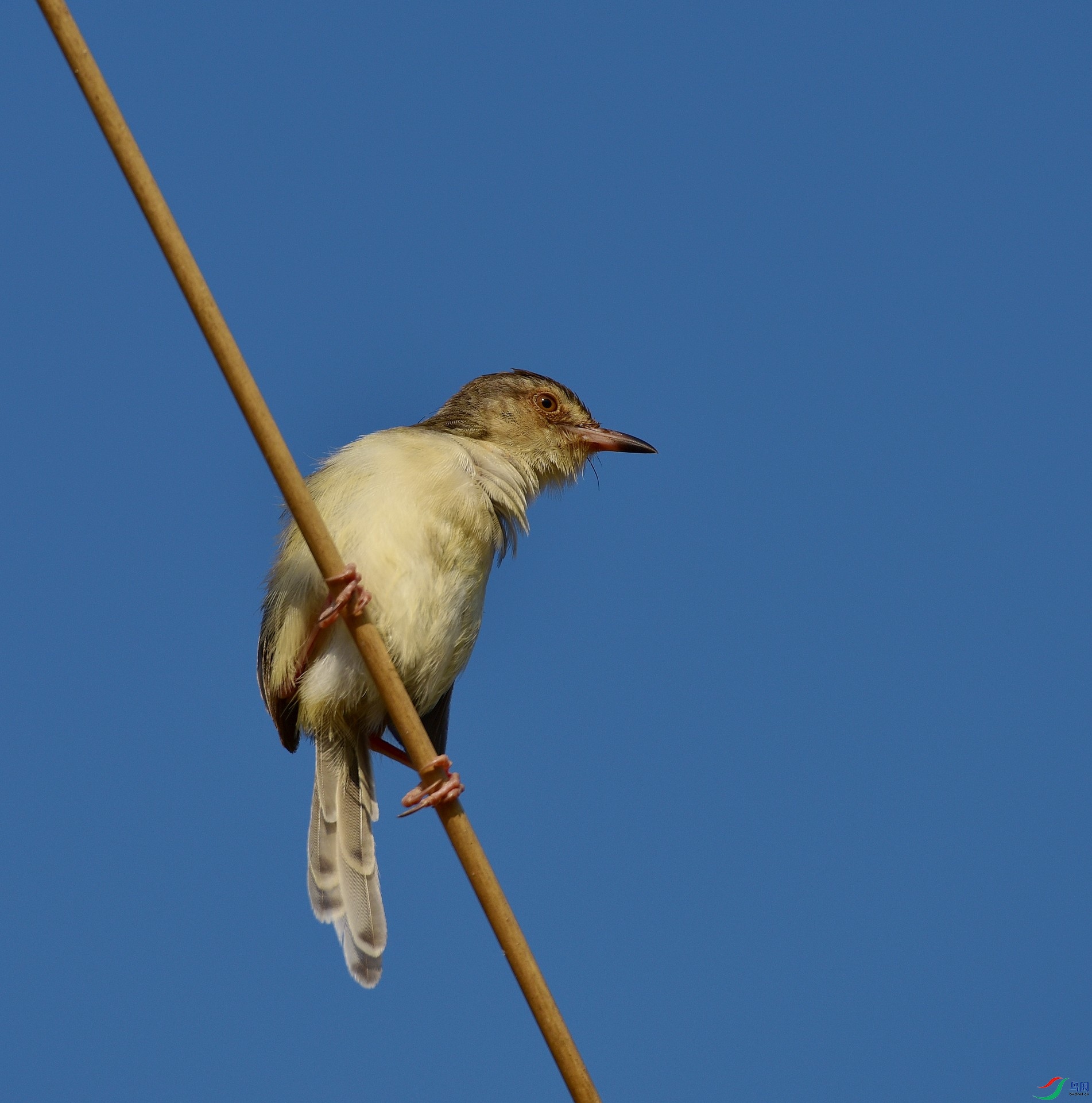 D8I_4802.jpg
