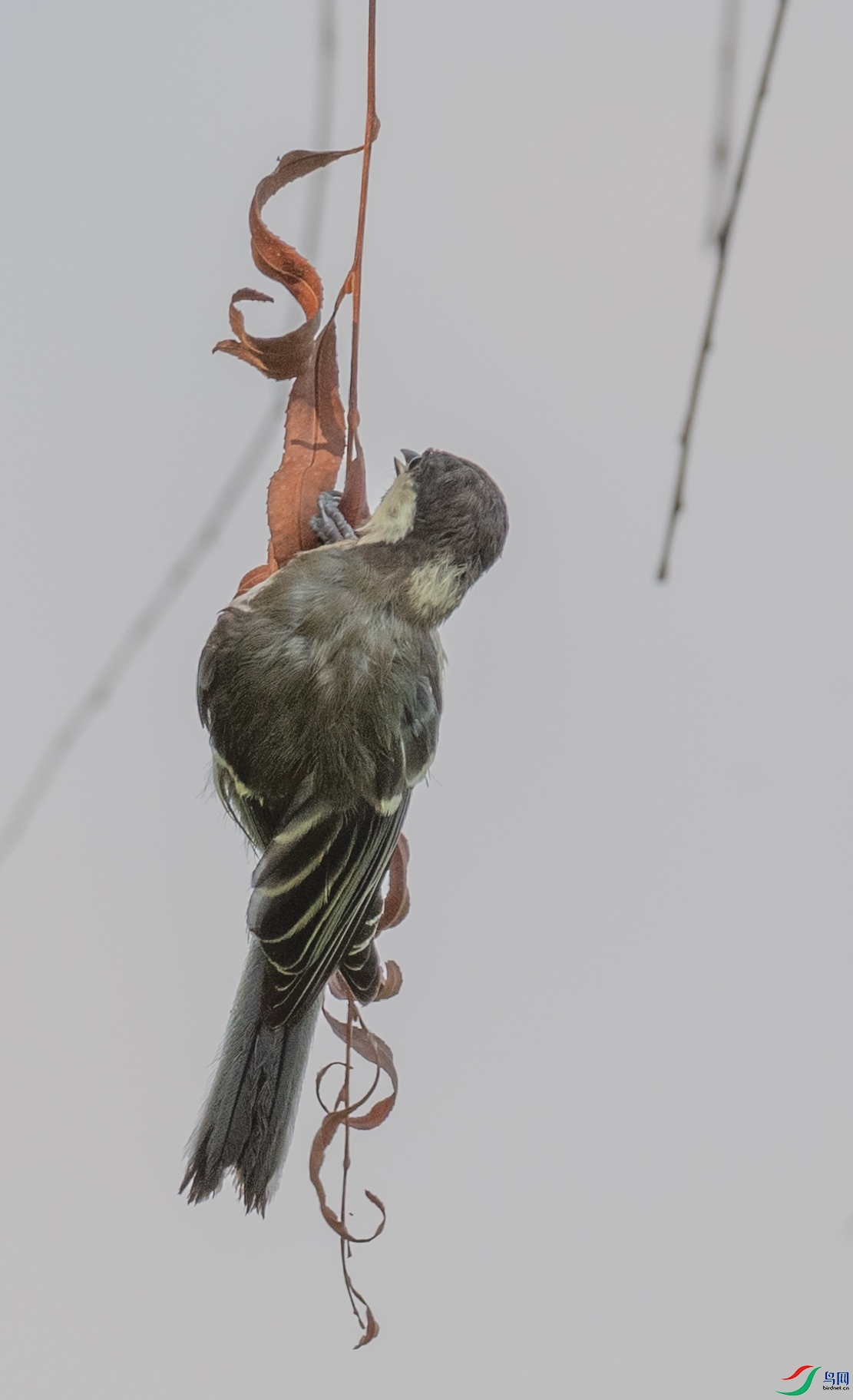 DSC_0730_����.jpg