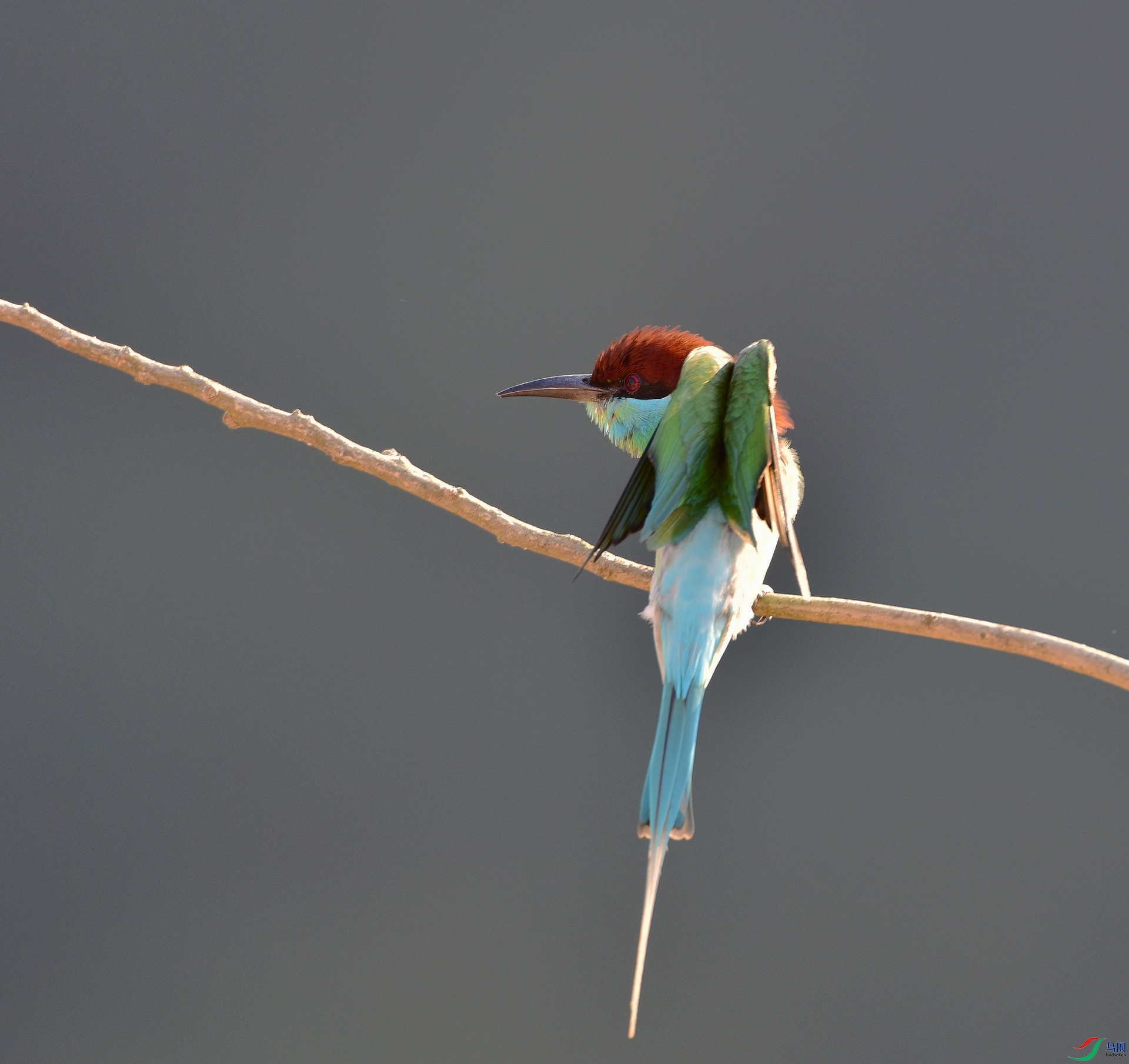 D8I_4960.jpg