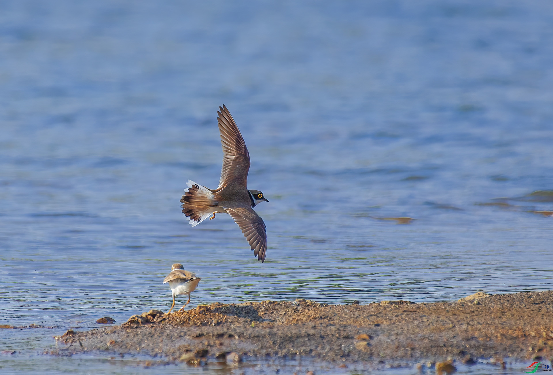 DSC_2106 ����.jpg