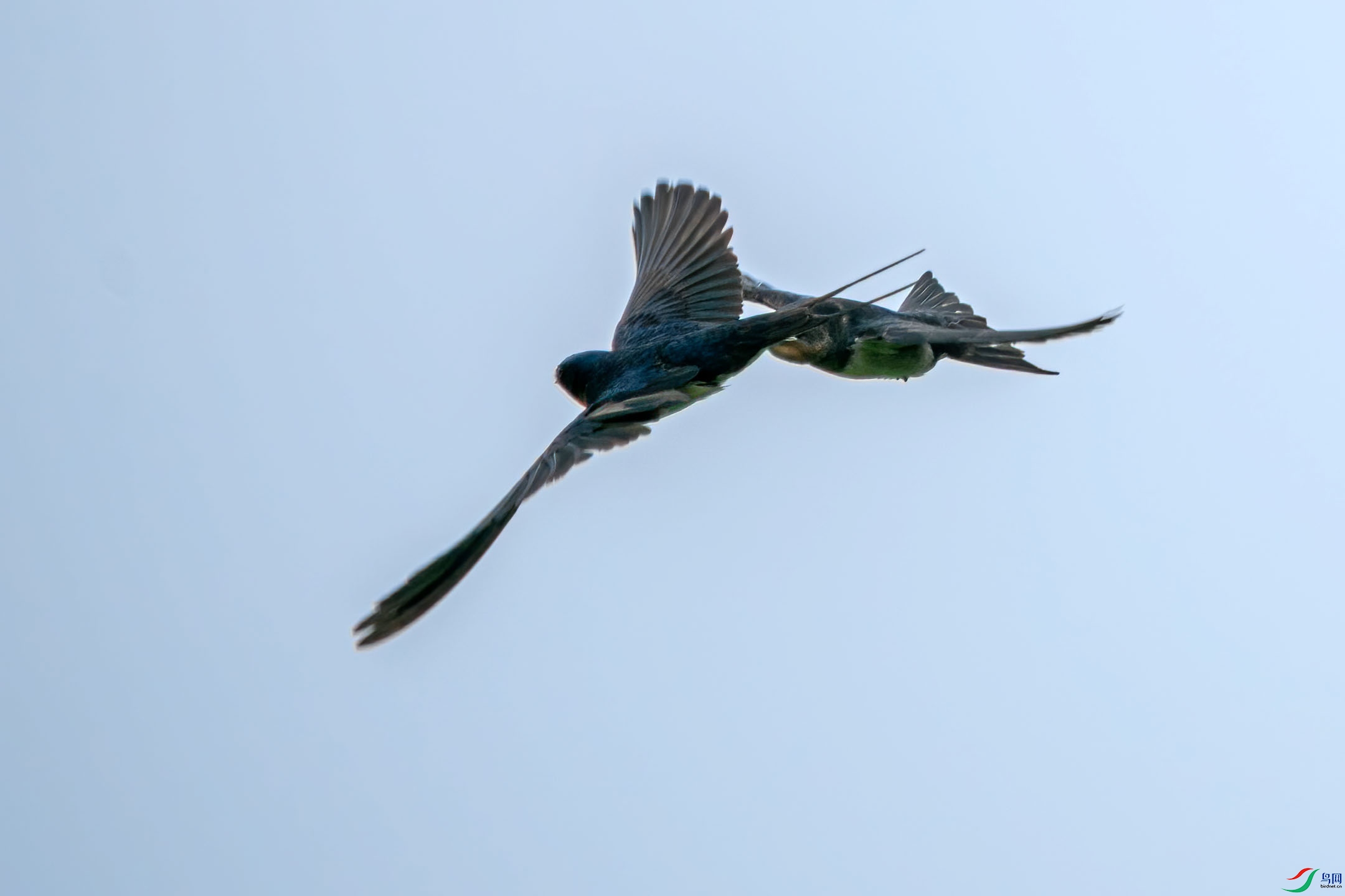 DSC07071.jpg