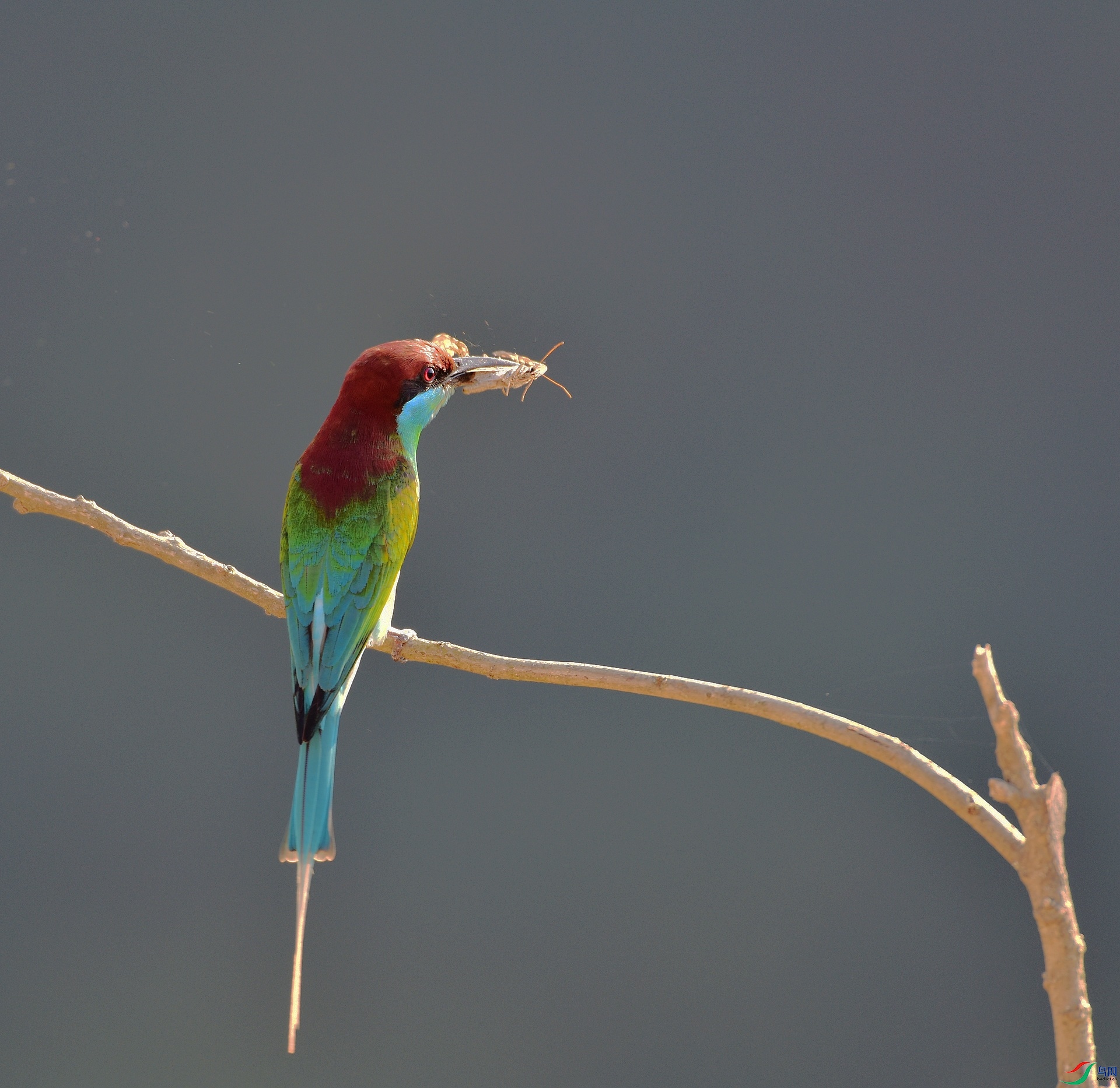 D8I_5003.jpg