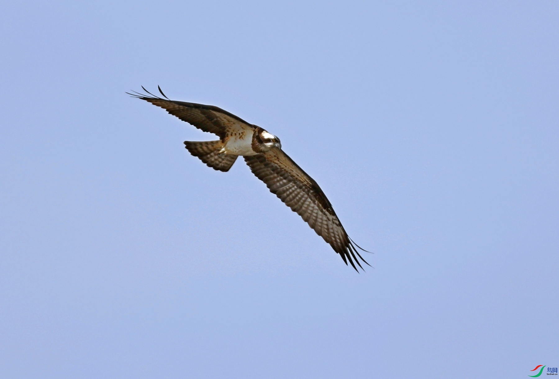 7I9A4317-1.jpg