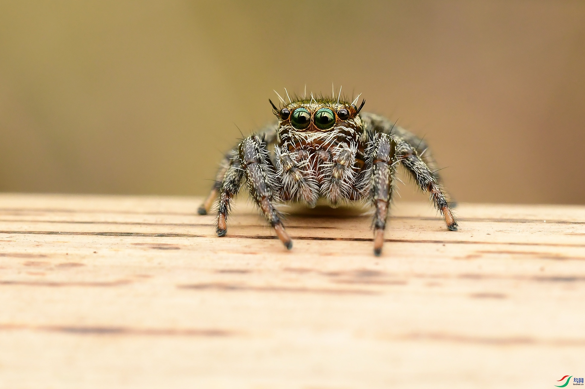 DSC_8576.JPG
