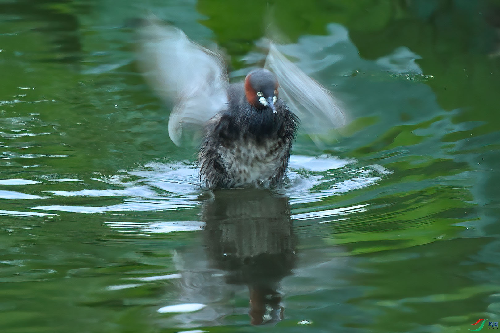 DSC_2608.jpg