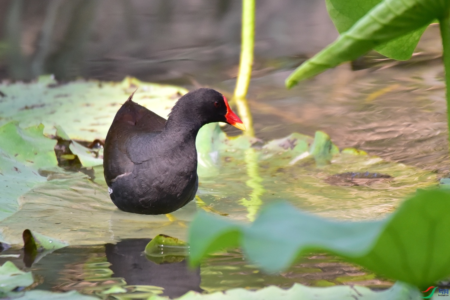 DSC_8107.JPG