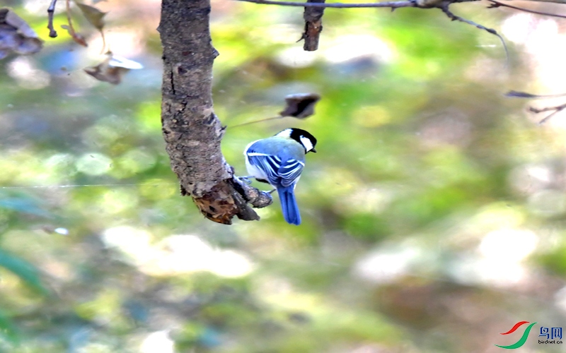 Copy2_DSC_3949.JPG