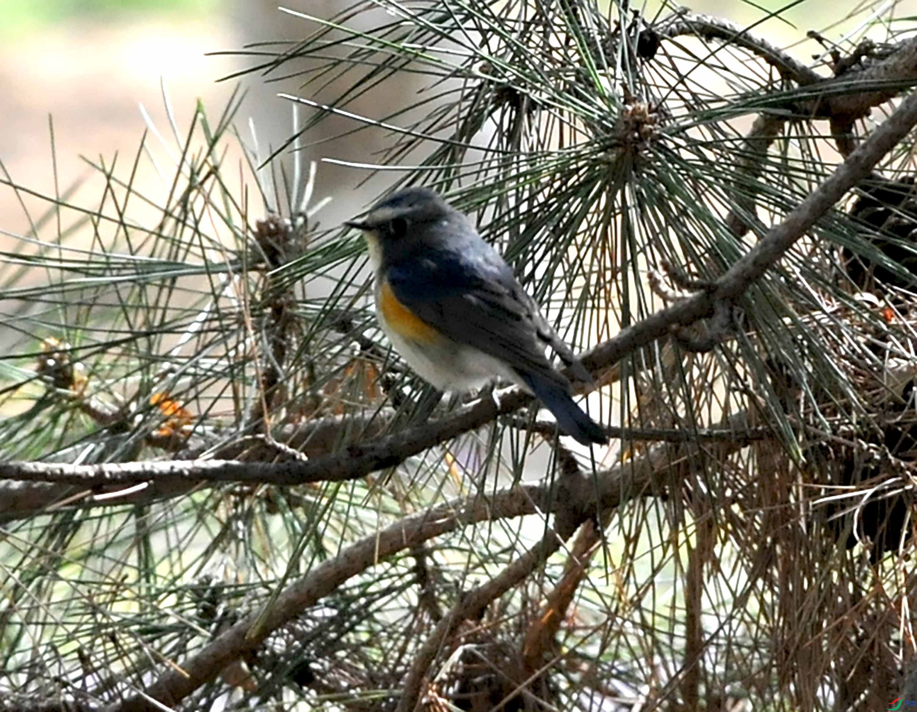DSC_6885.JPG