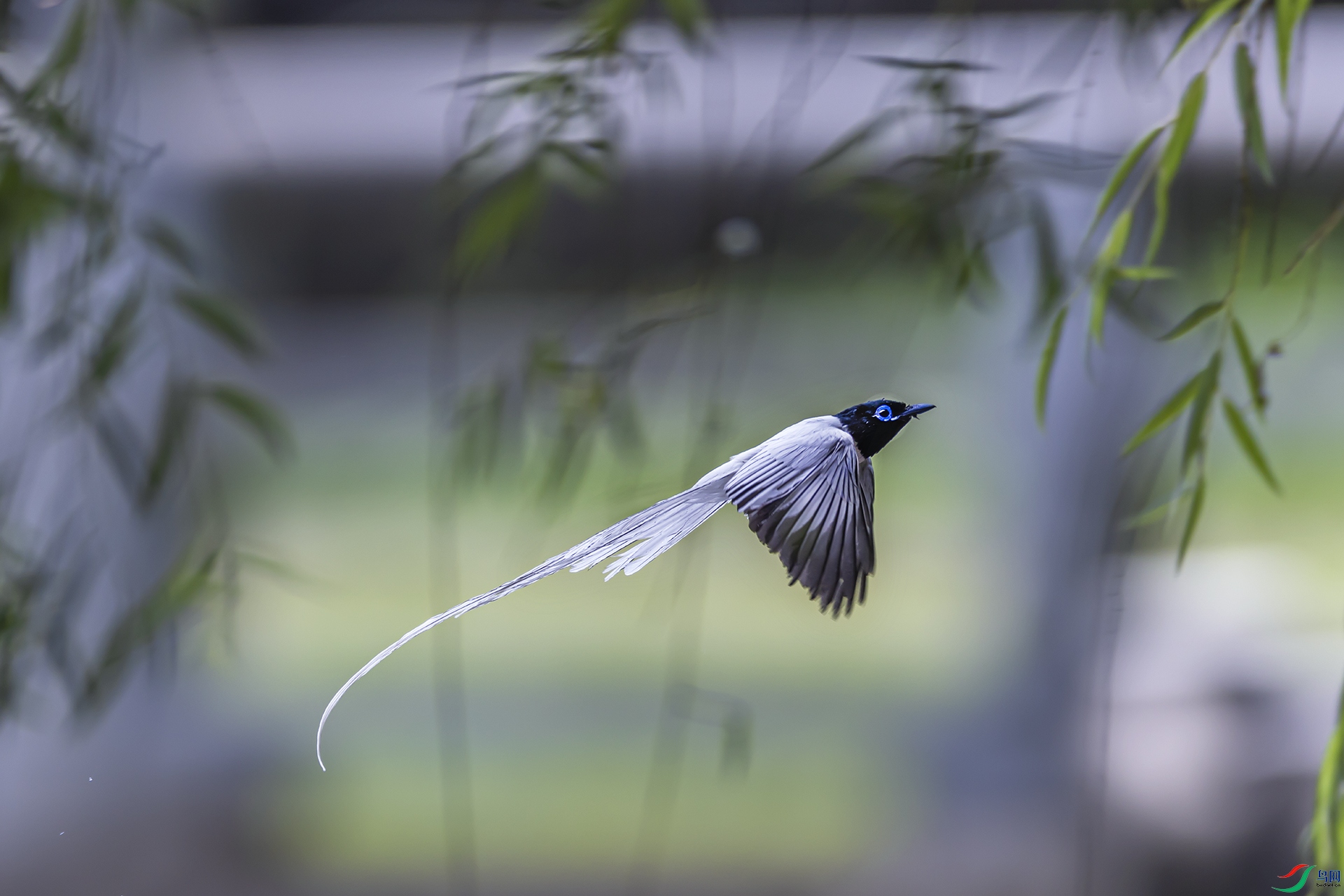 407A8315--1 .jpg