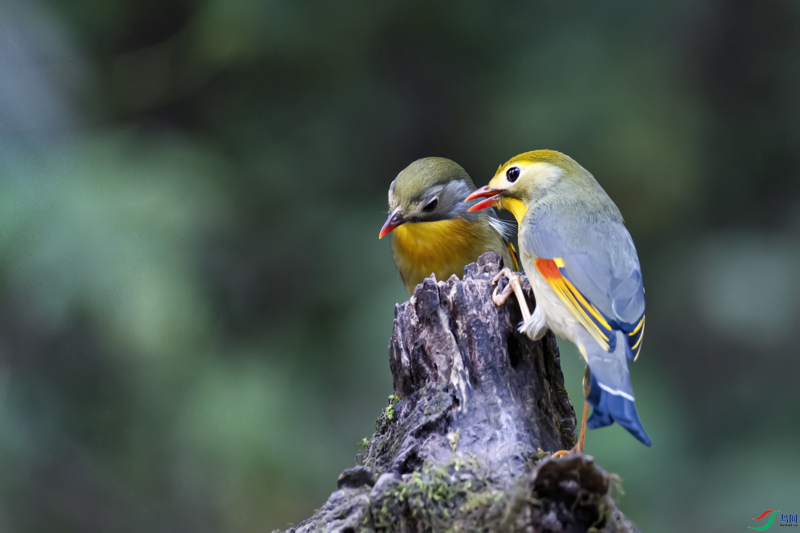 ����    ������˼��