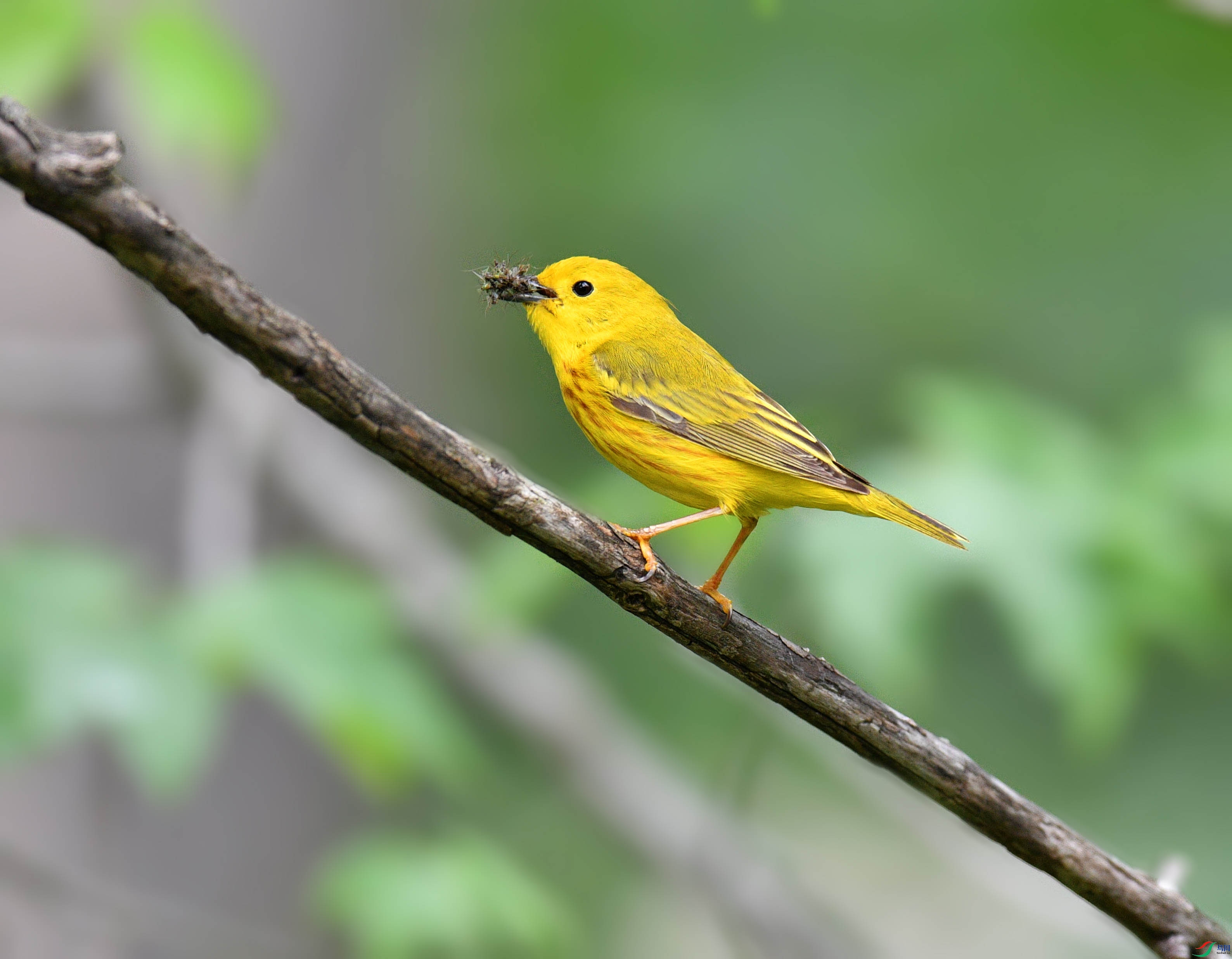 ��Ƭ 135 - ���� - ����.jpg