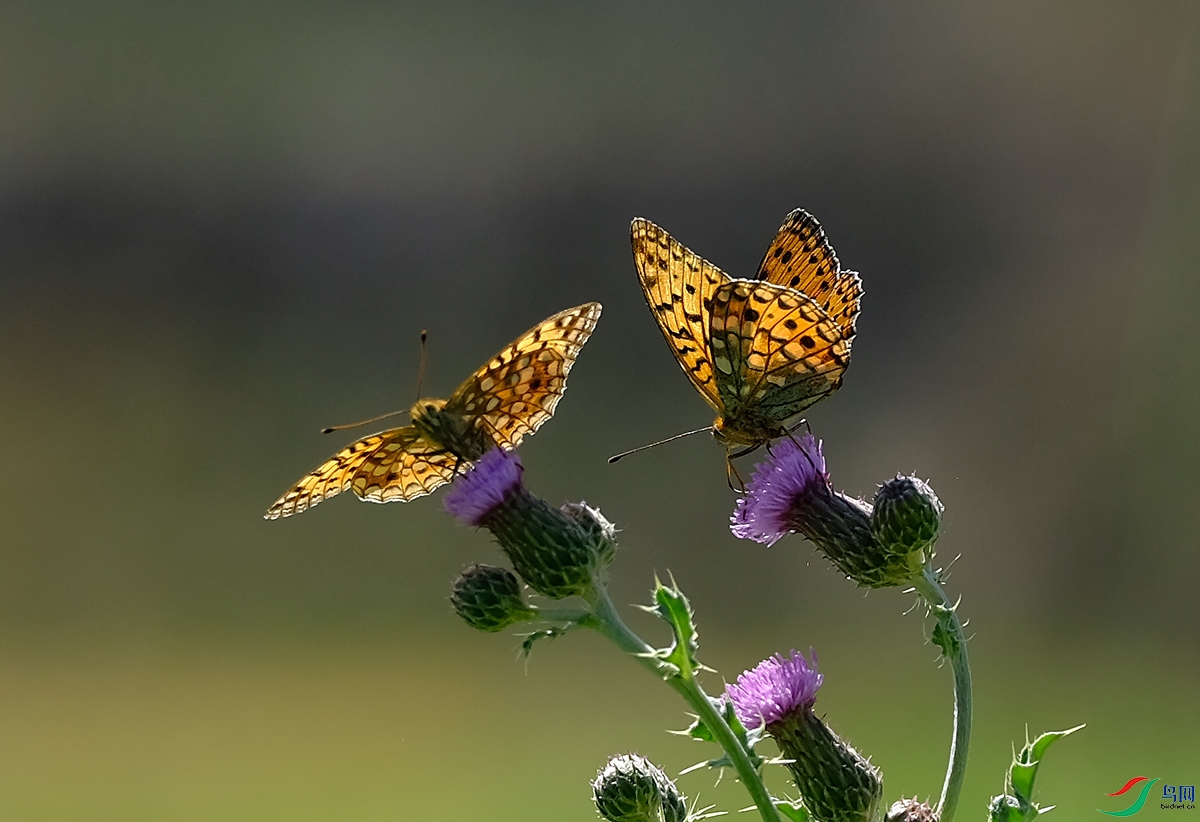DSCF8299.JPG