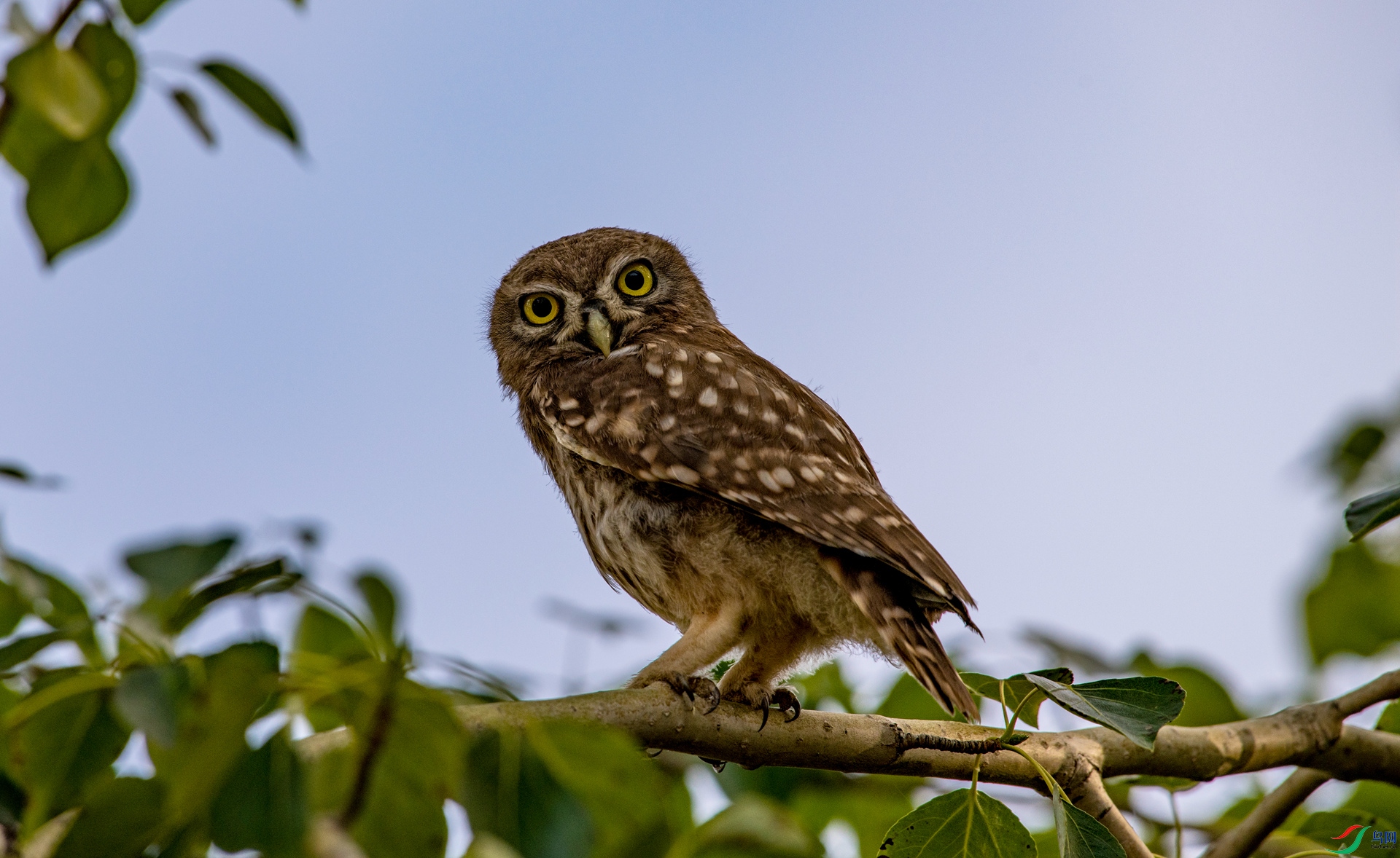 DSC_3622_����.jpg