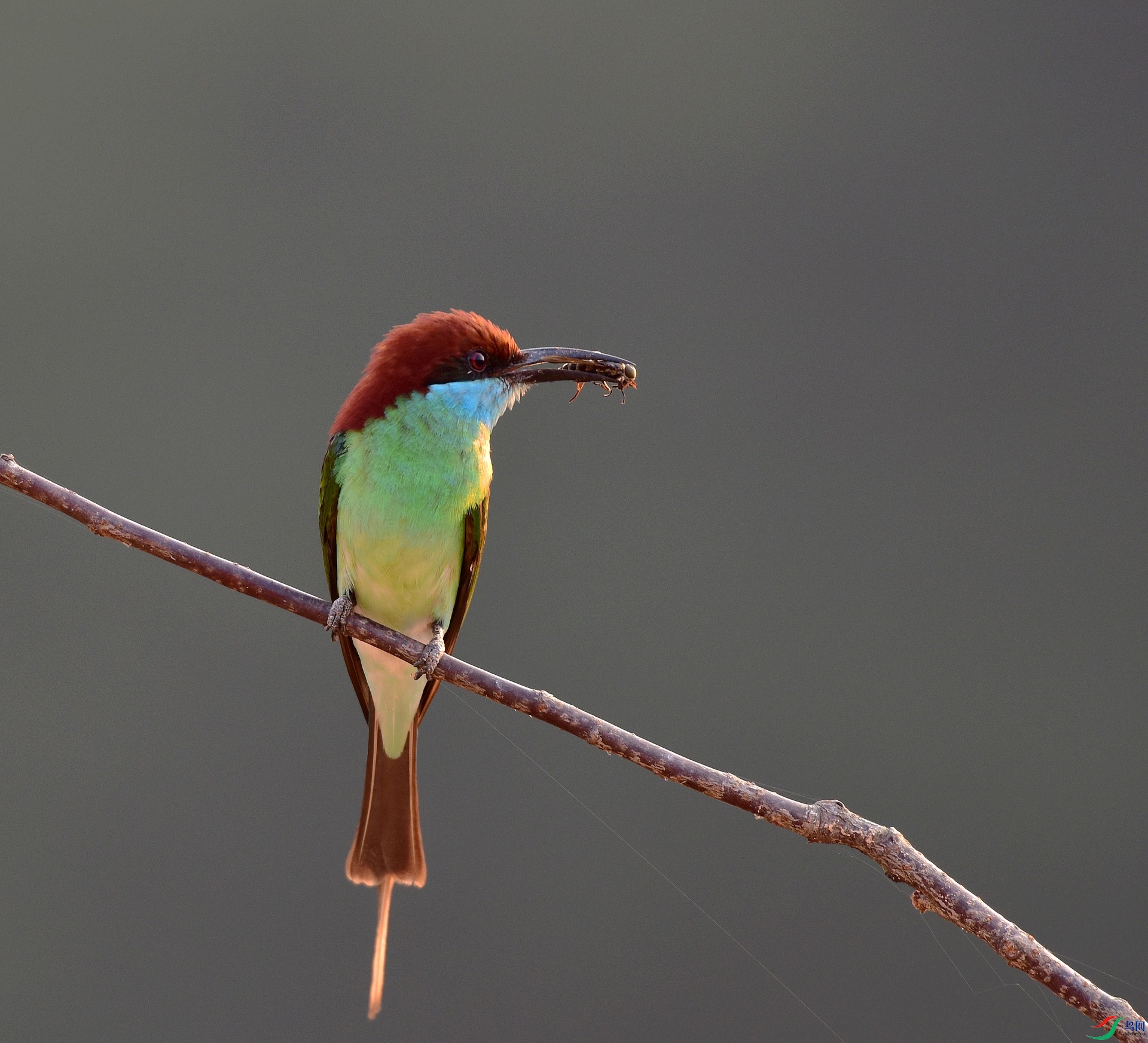 D8I_5966.jpg
