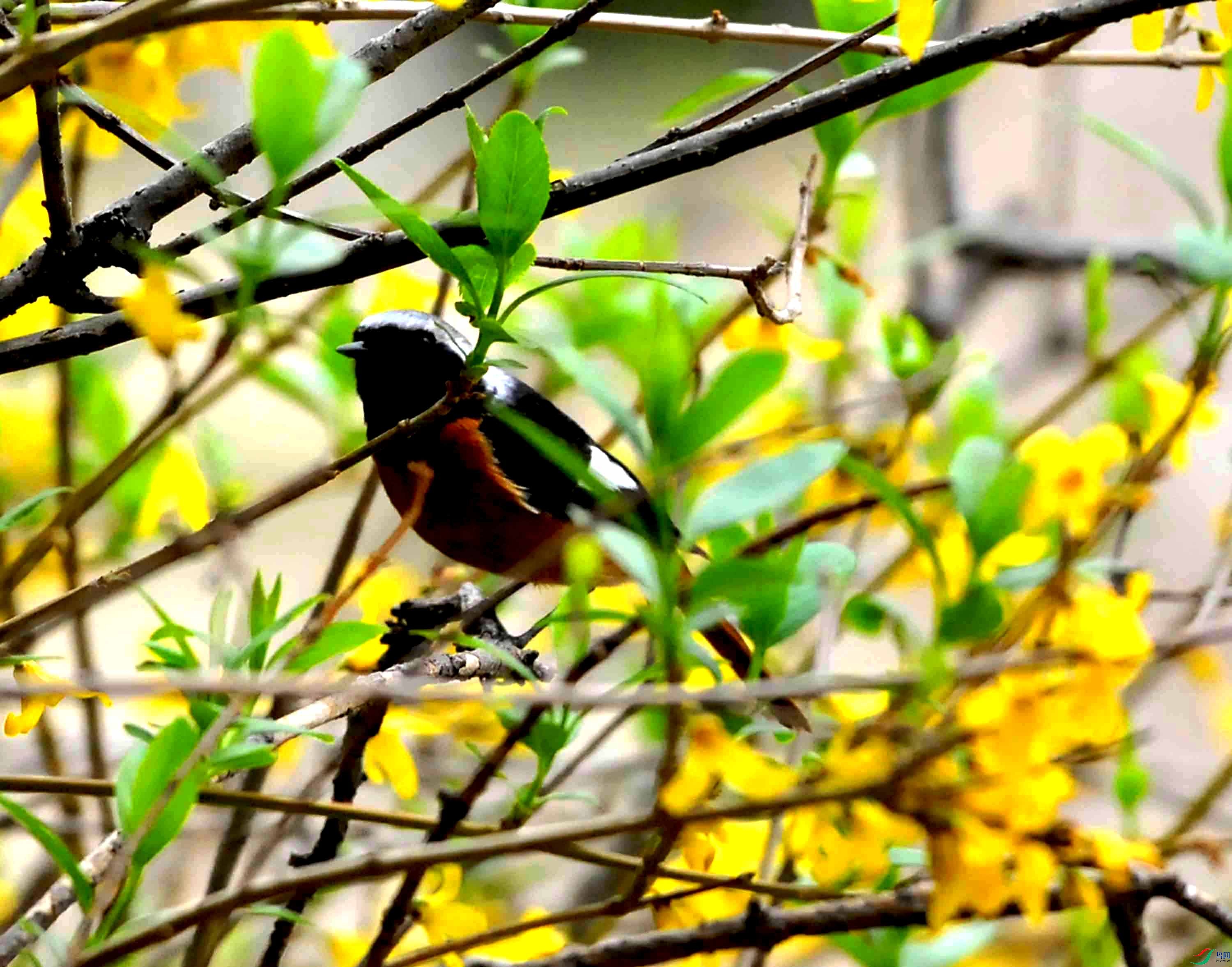 DSC_7092.JPG