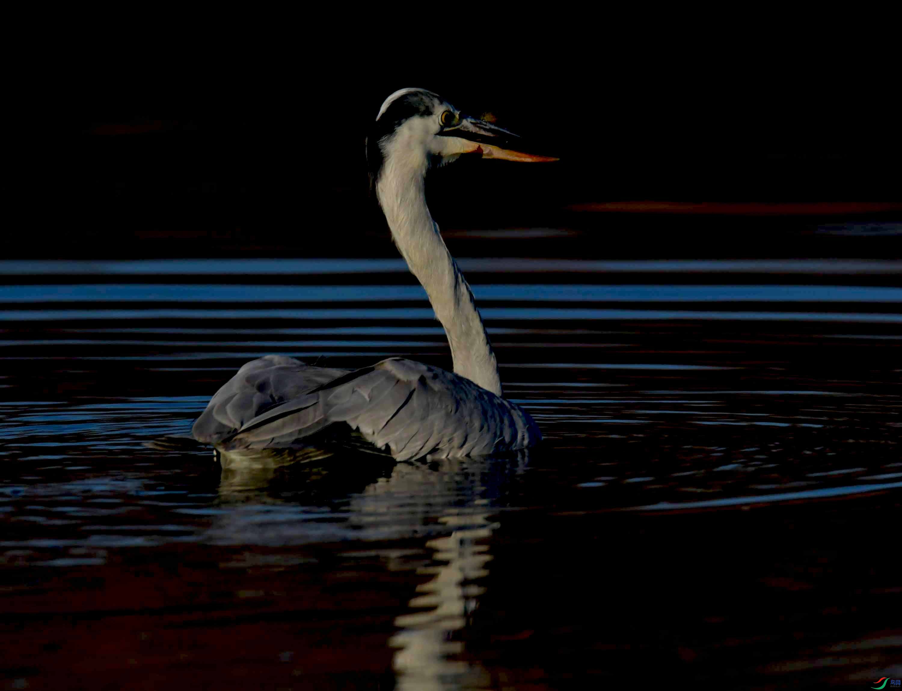 DSC_0066.JPG