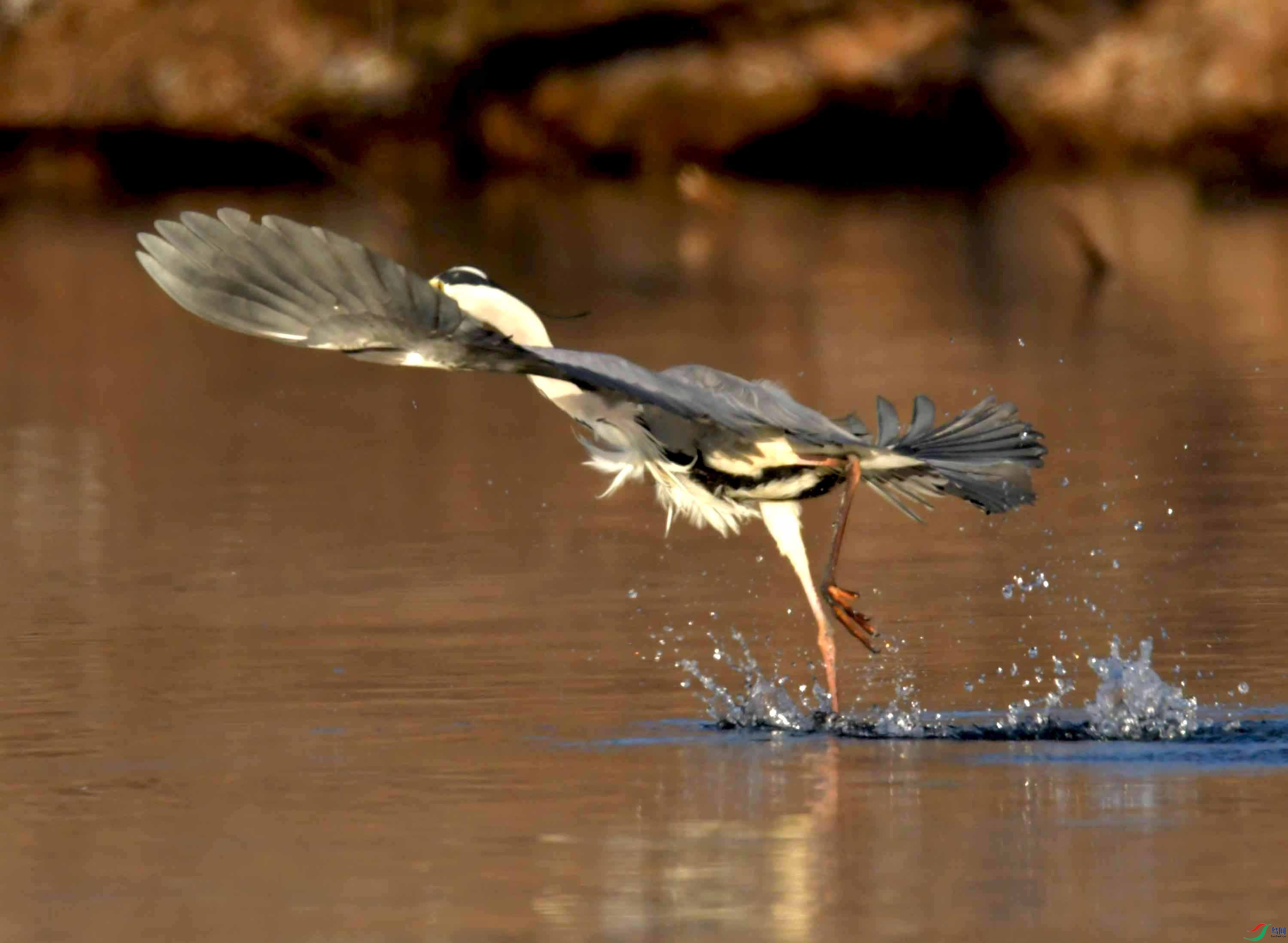 DSC_9970.JPG