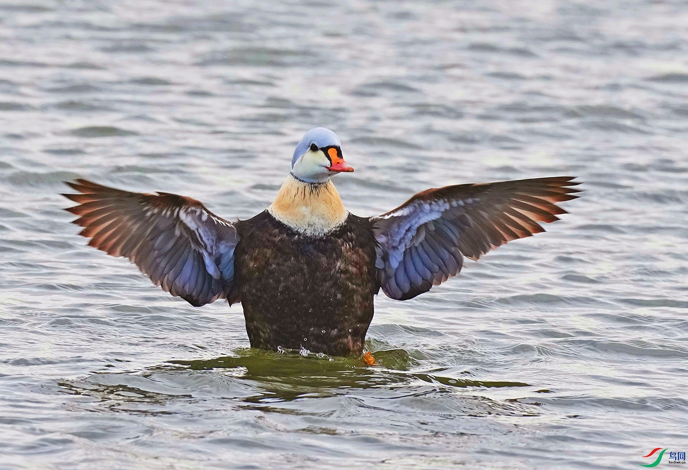 DSD05452----.jpg