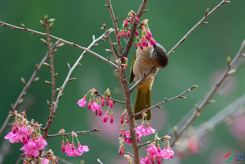 DSC_1258_DxOa.jpg