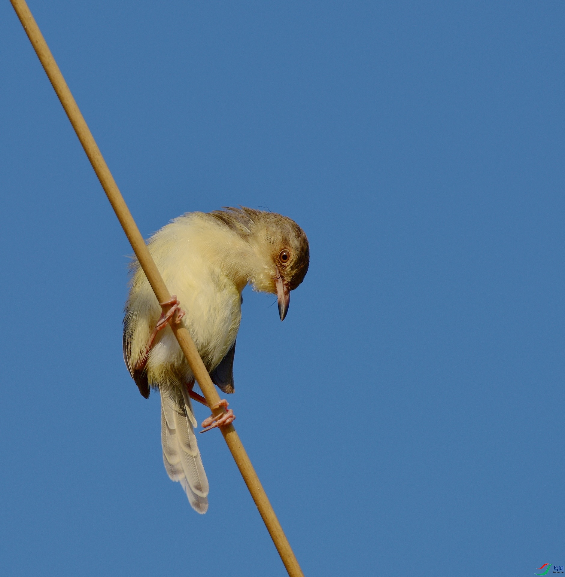 D8I_4800.jpg