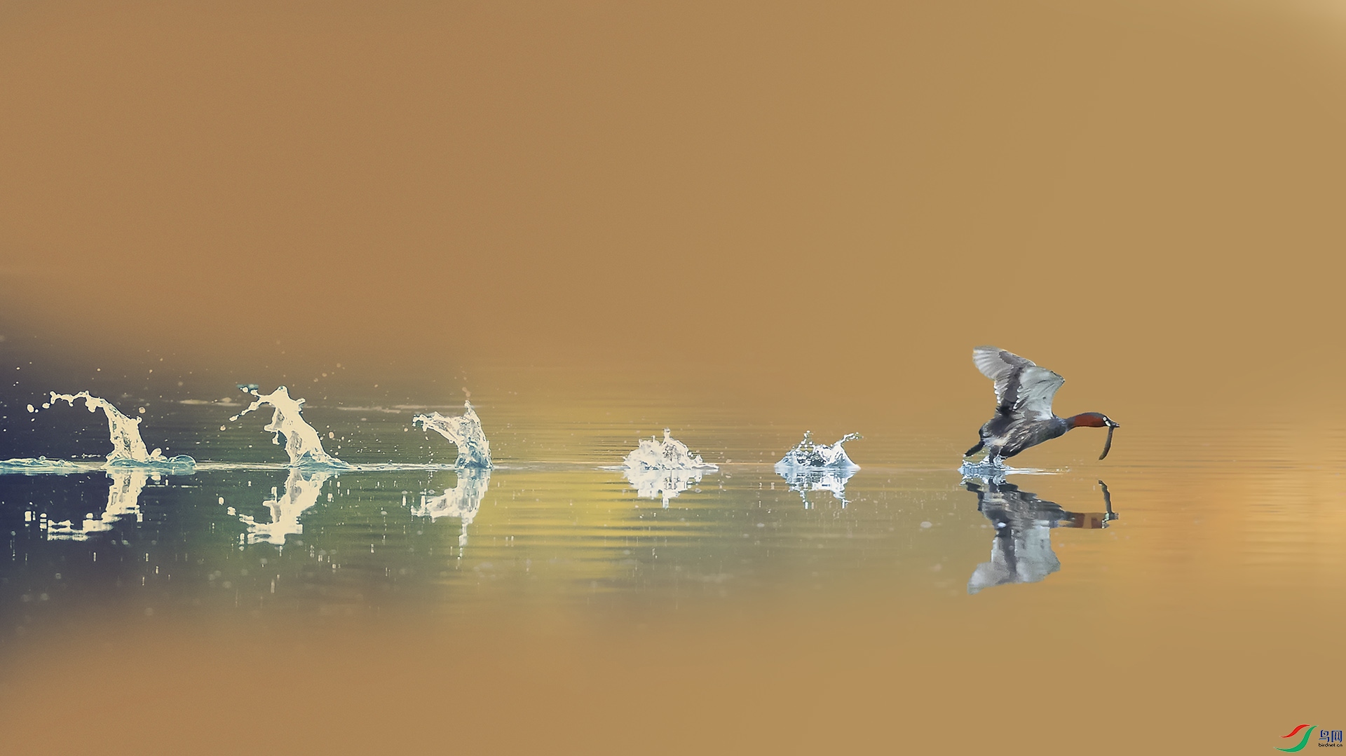 019A6322 ����.jpg