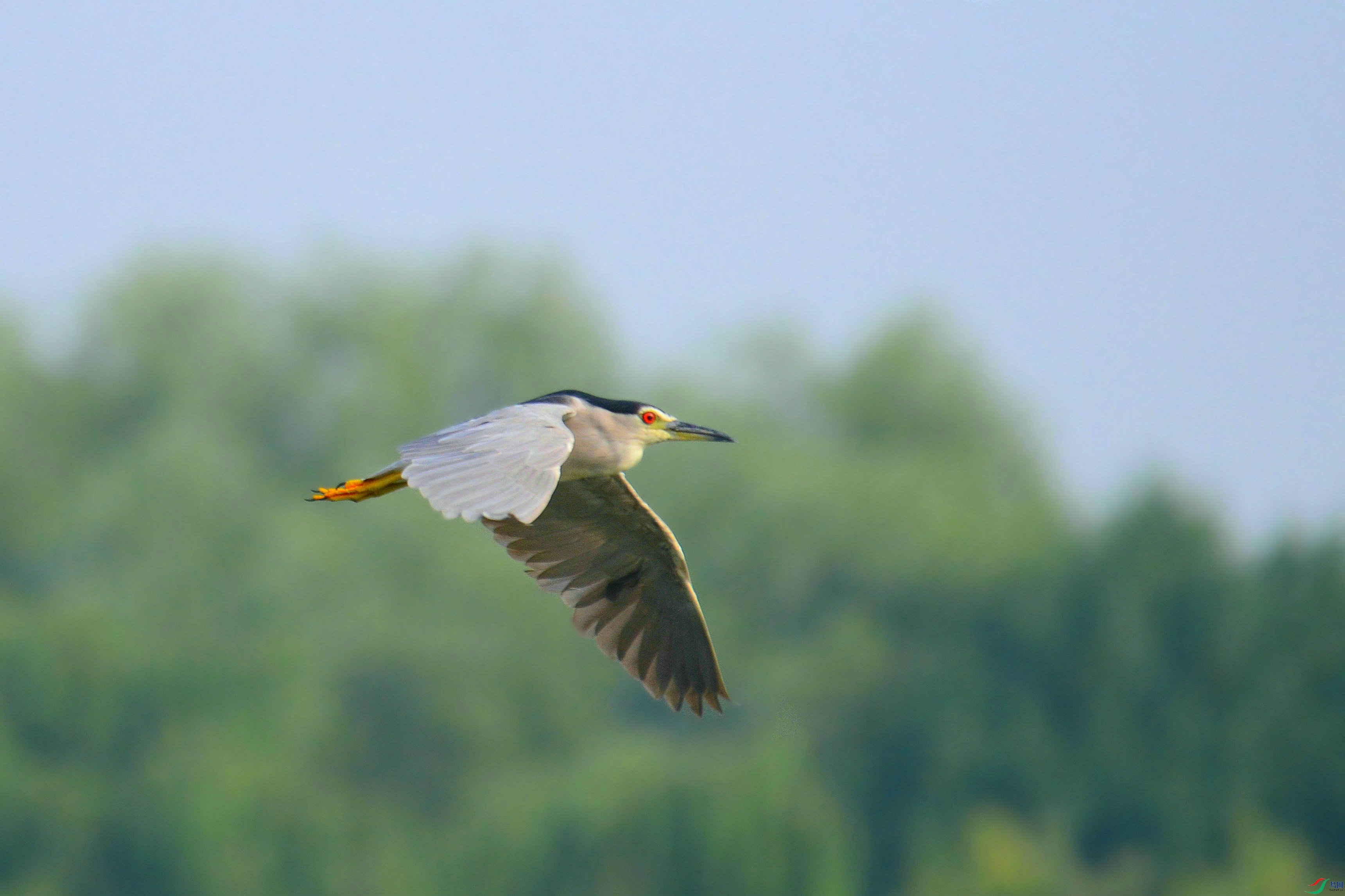 DSC_5450.JPG