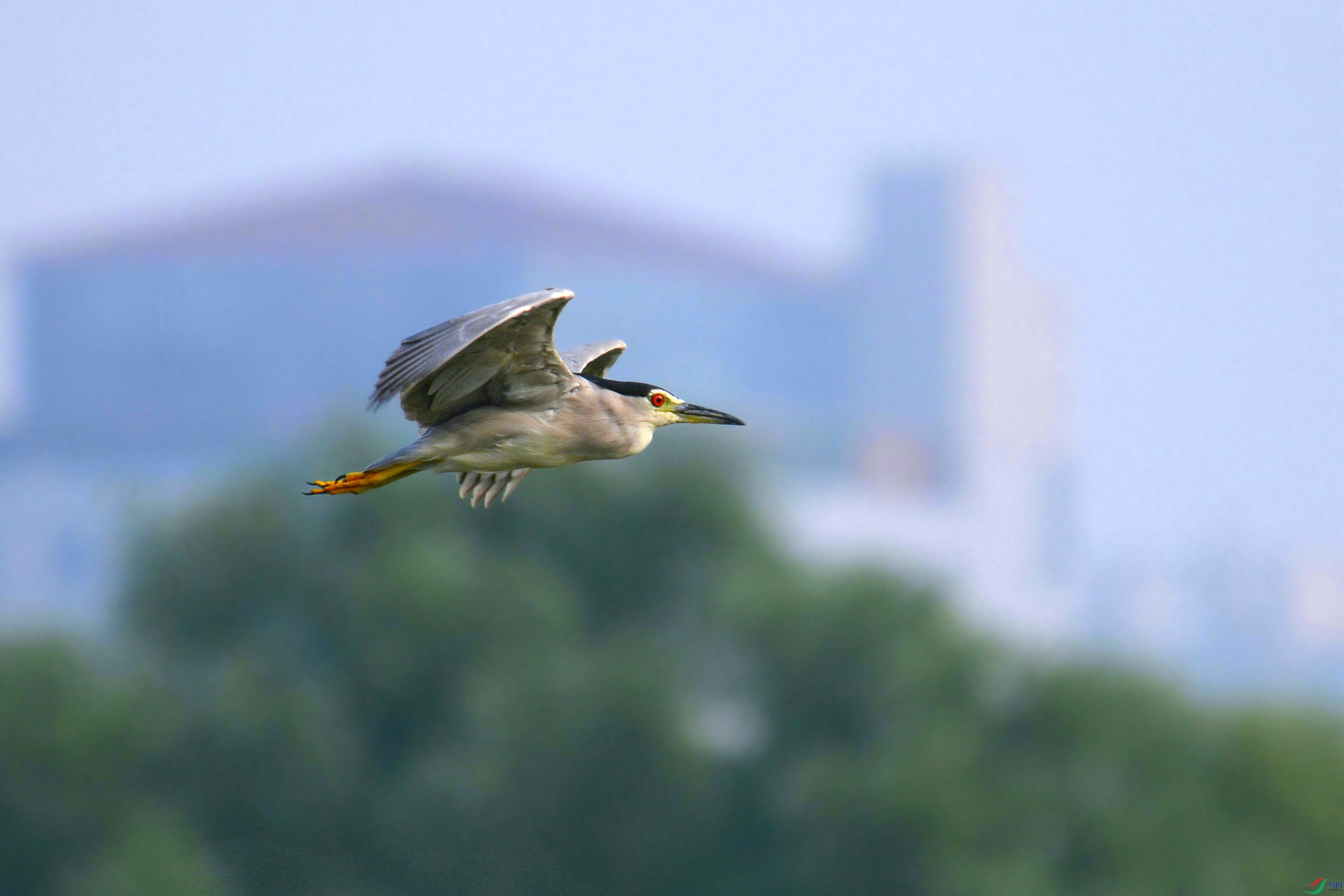 DSC_5452.JPG