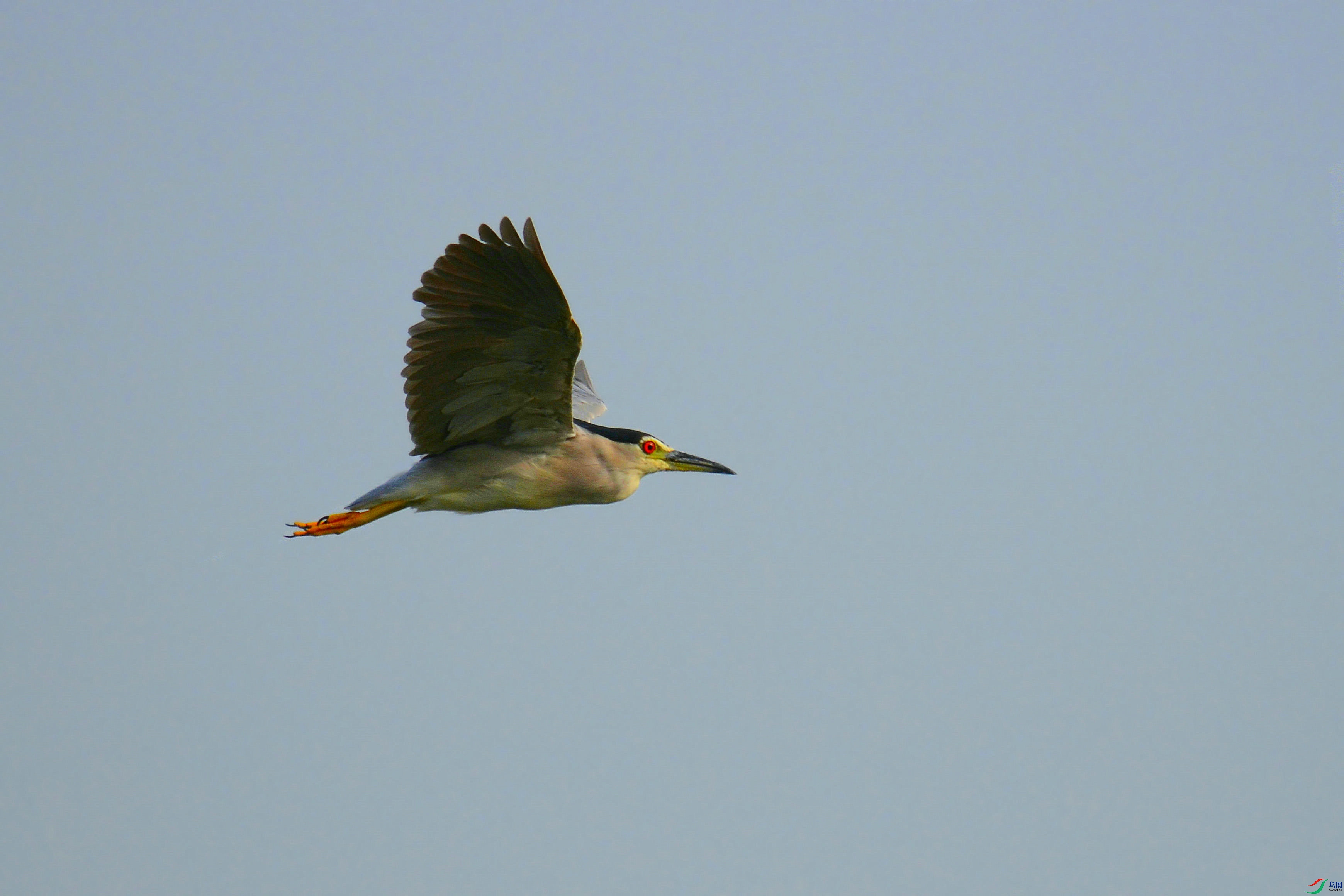 DSC_5454.JPG