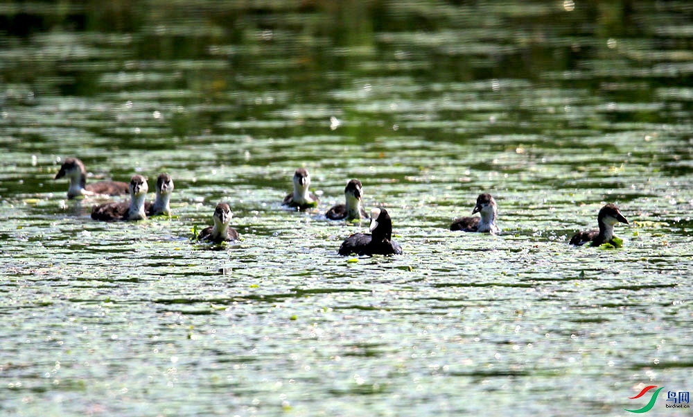 �׶���   HT0A6160.jpg