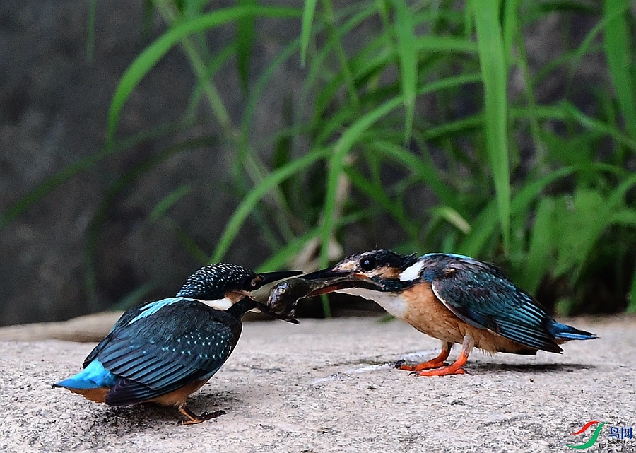 DSC_3523.JPG