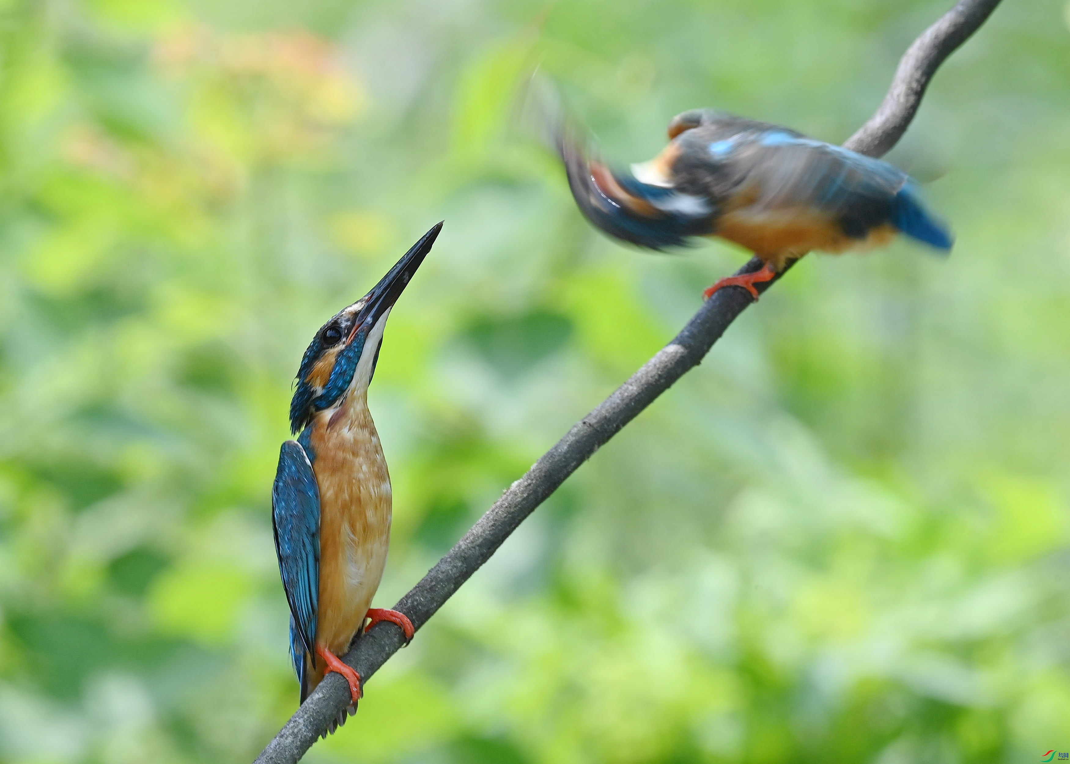 DSC_3160_����.jpg