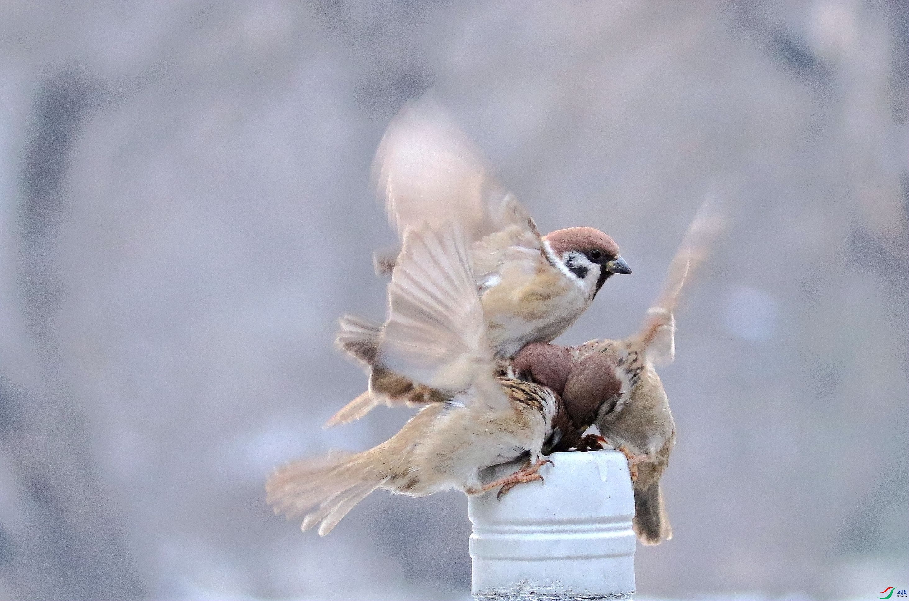 �����ж�1U4A4906_����.jpg