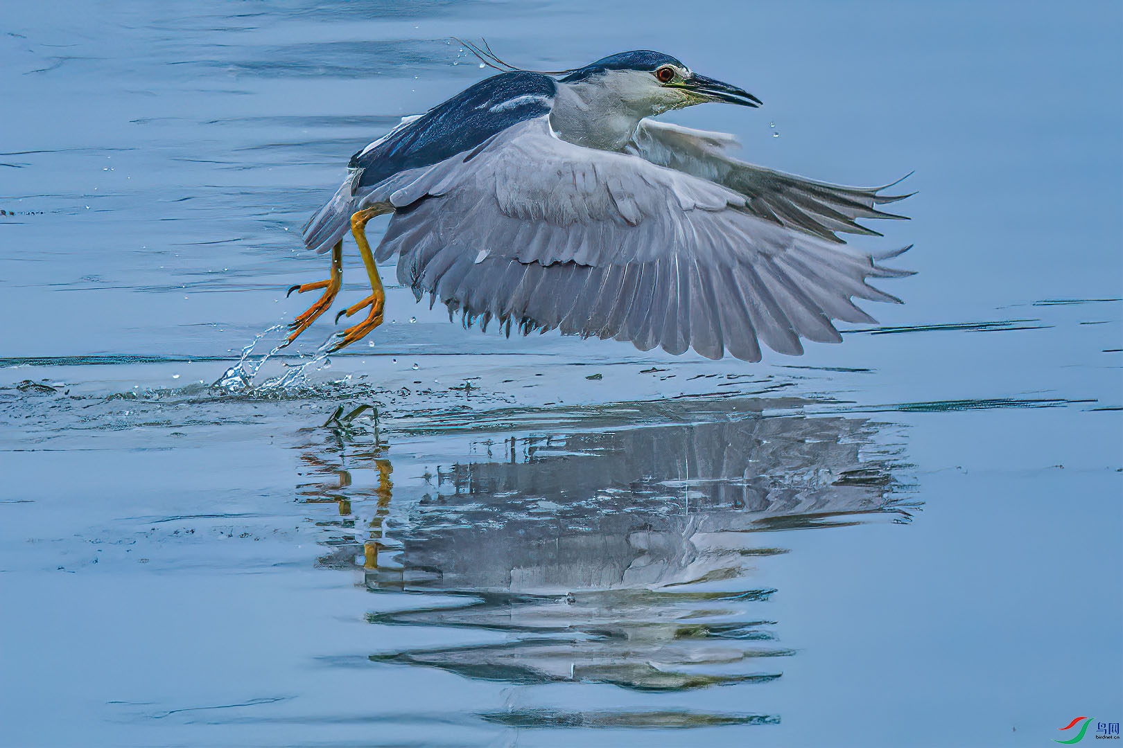 DSC_3524.jpg