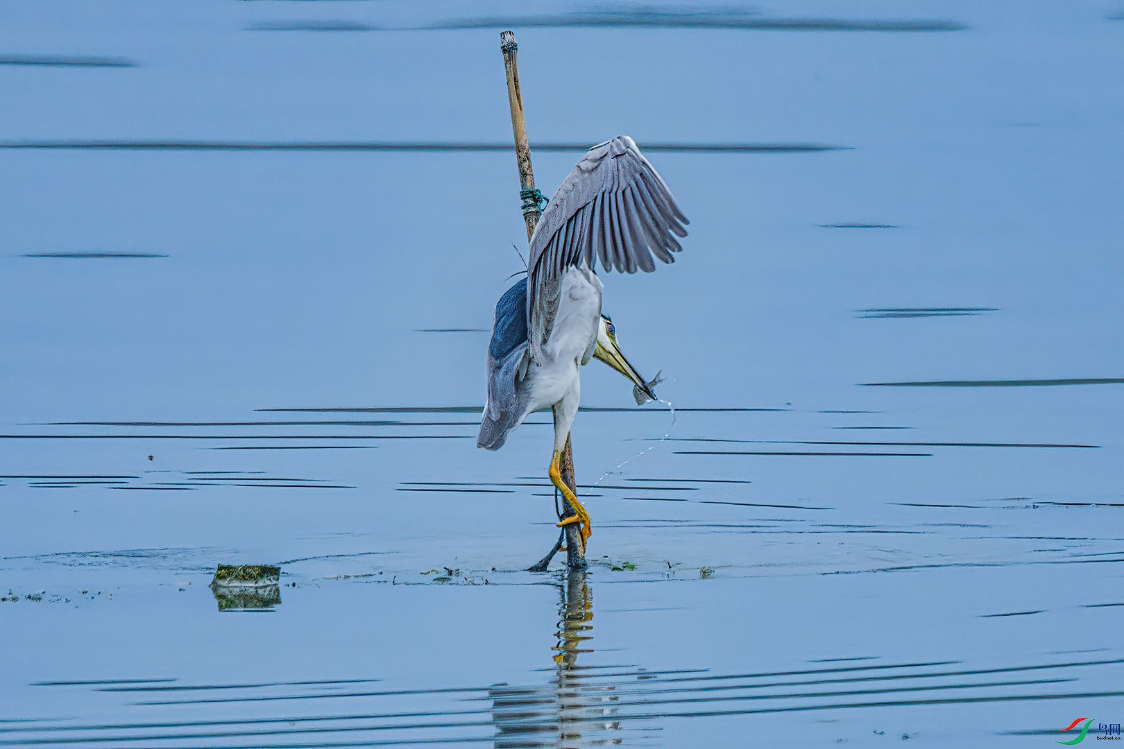DSC_3564.jpg