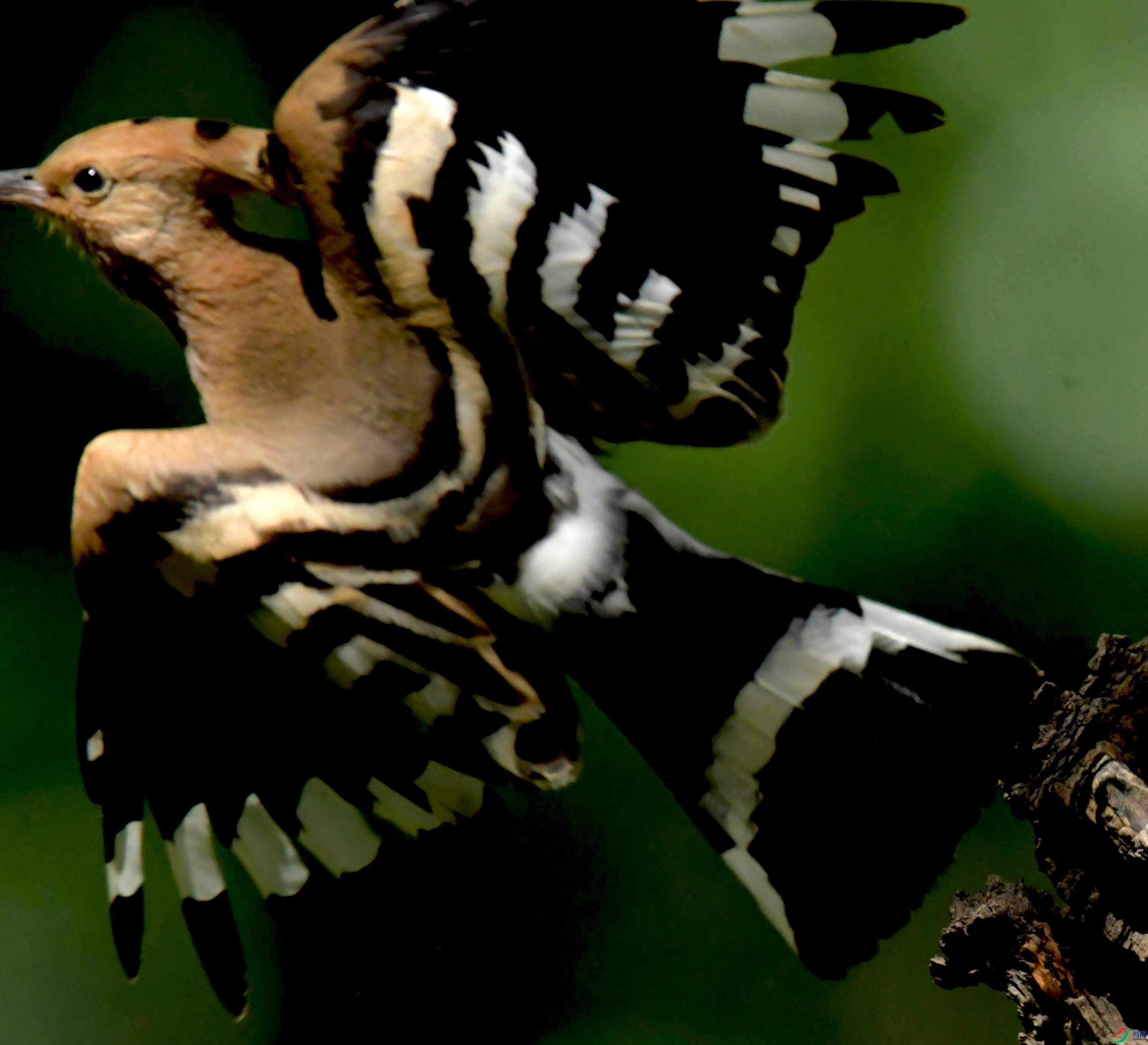 DSC_9999.JPG