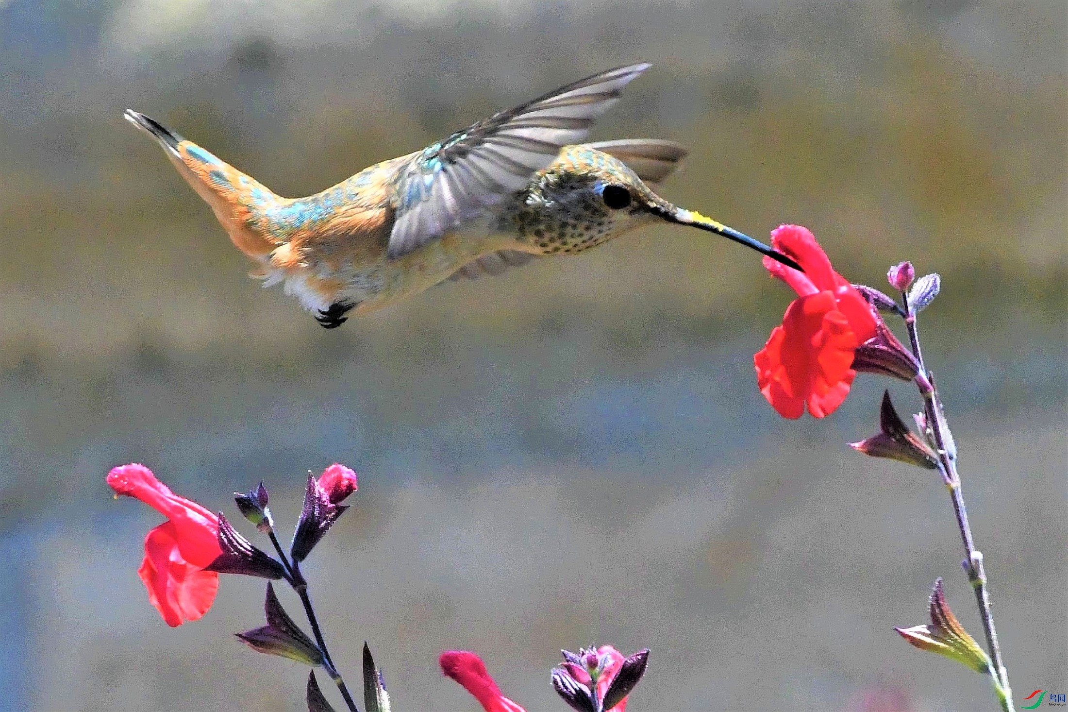 DSC_7218-С��С�������-2200-KCYN -0727.jpg