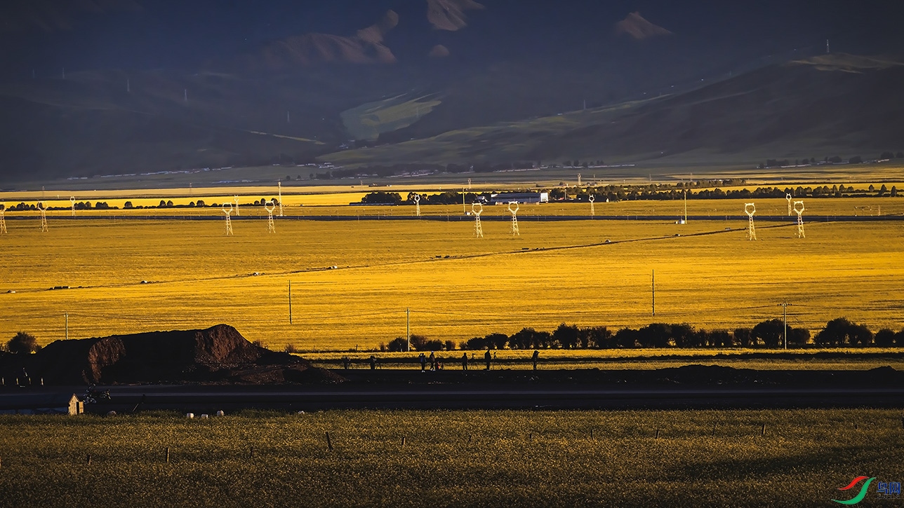 �������ຣ��Դ��