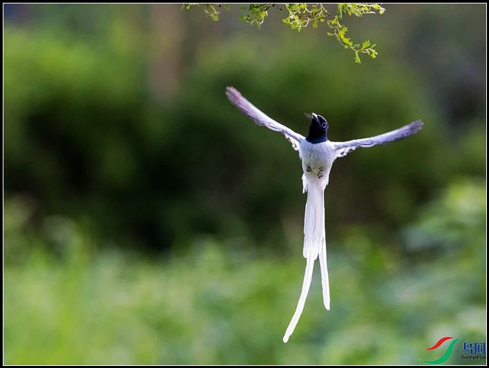 �й��ٴ���