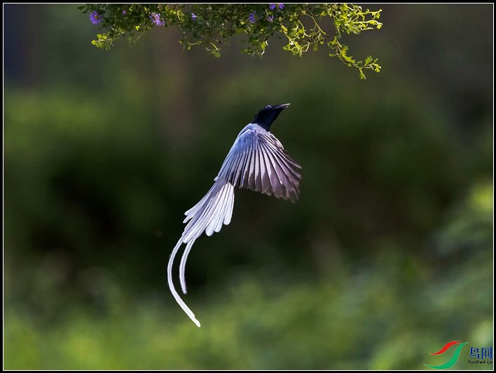 �й��ٴ���