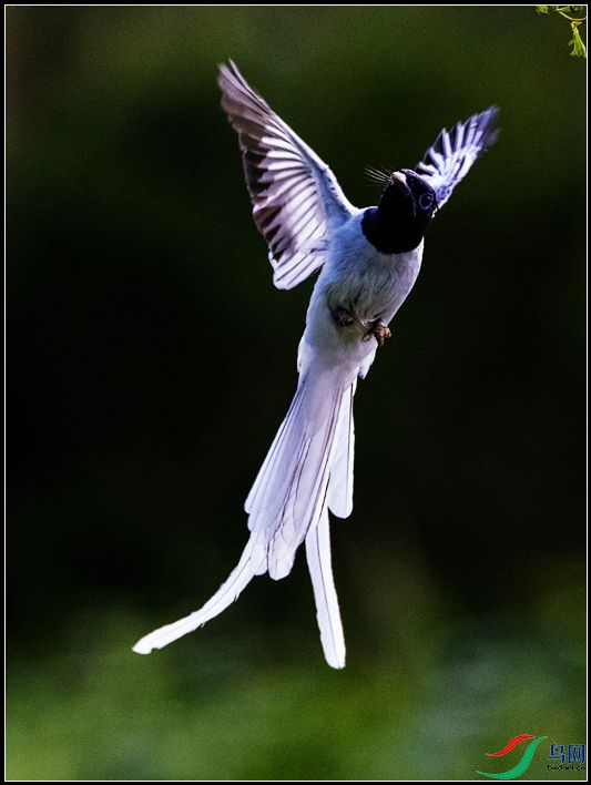 �й��ٴ���