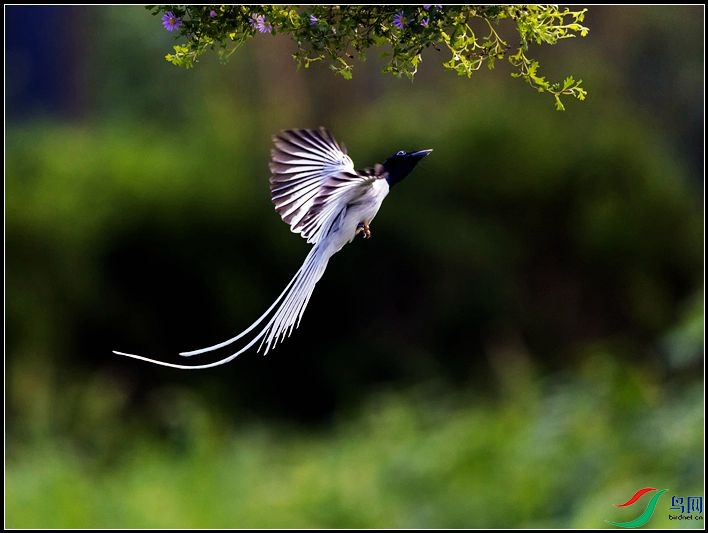 �й��ٴ���