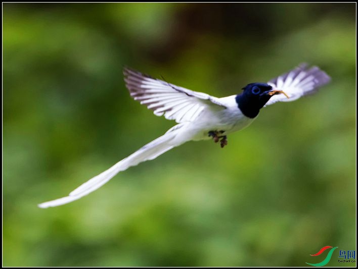 �й��ٴ���