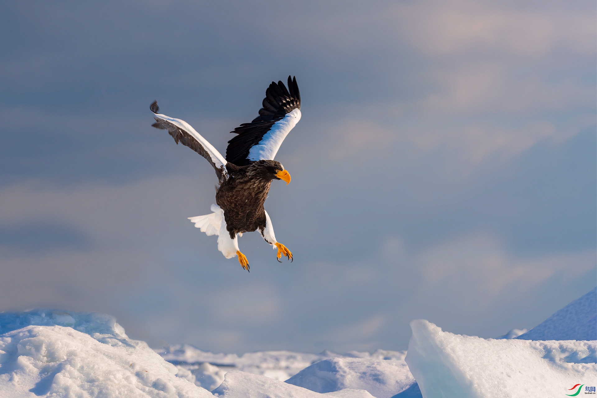 _DSC1855-1.jpg