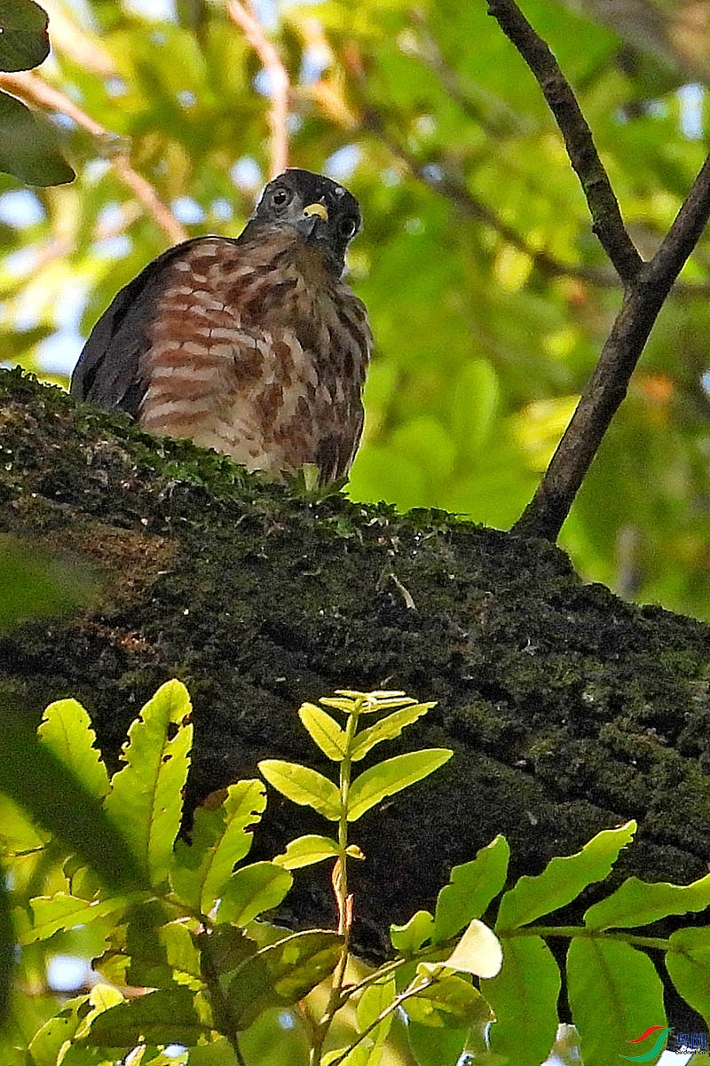 DSCN3788.jpg