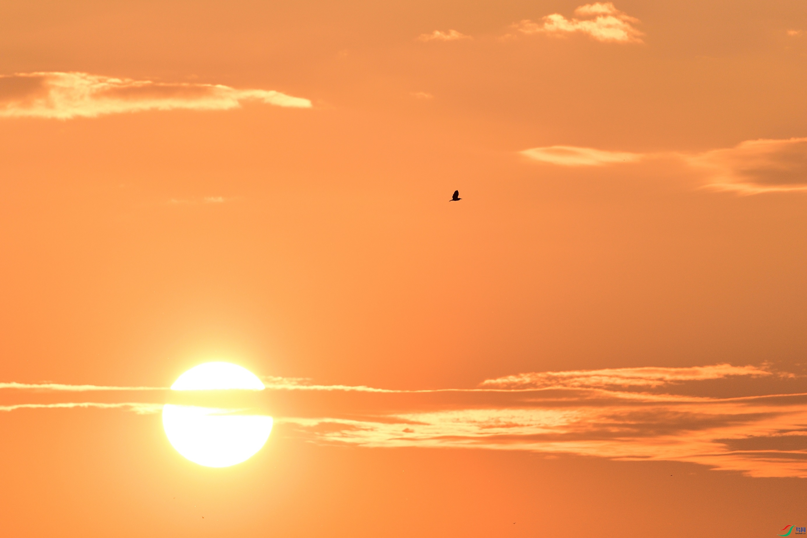 21N_1754_00001.jpg