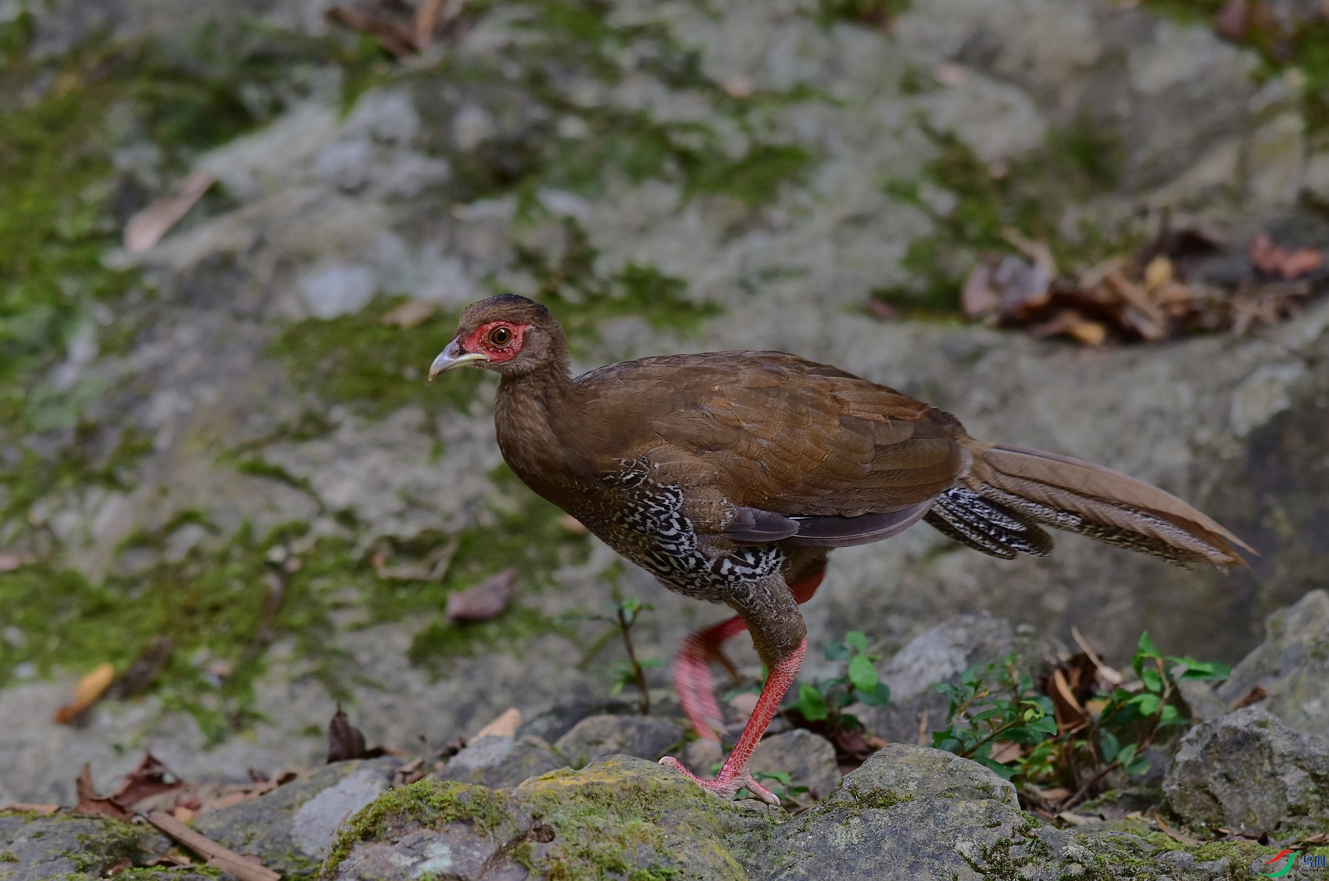 D8I_7460.jpg