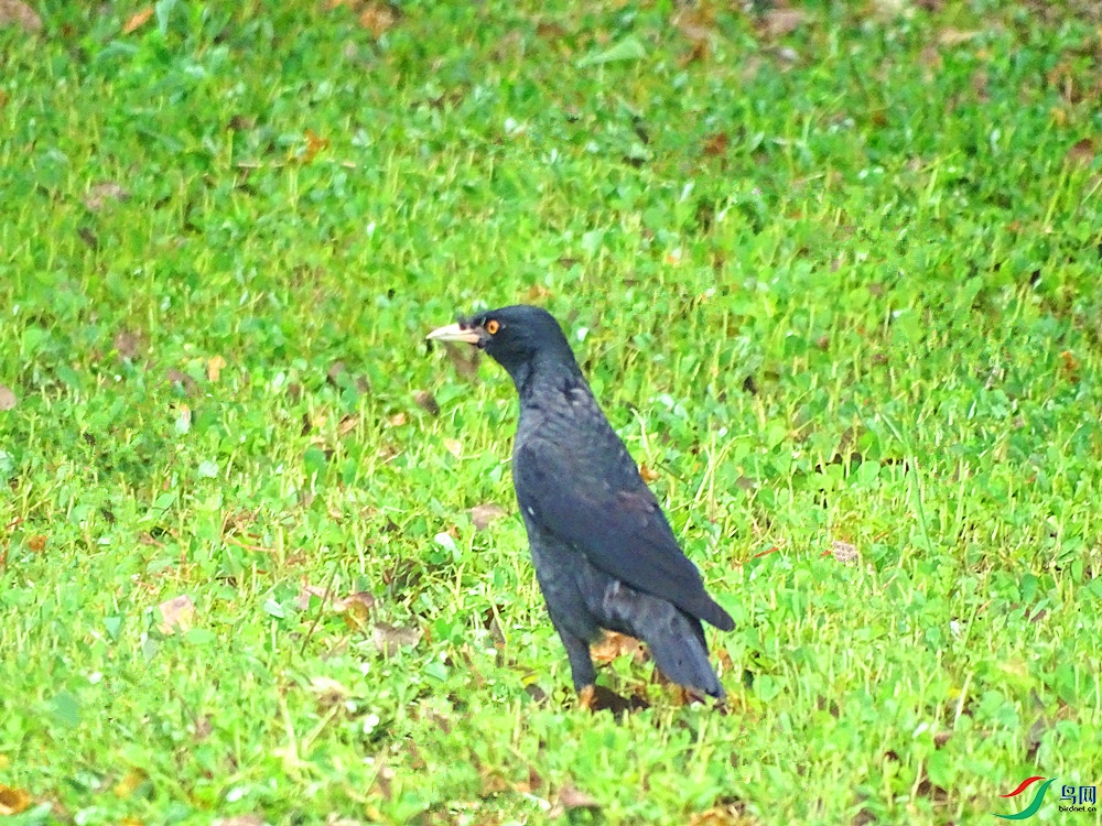 DSC02282.JPG