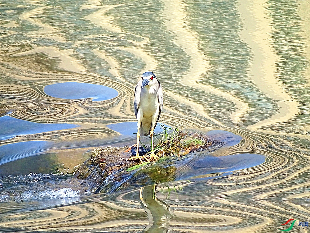 DSC02321.JPG