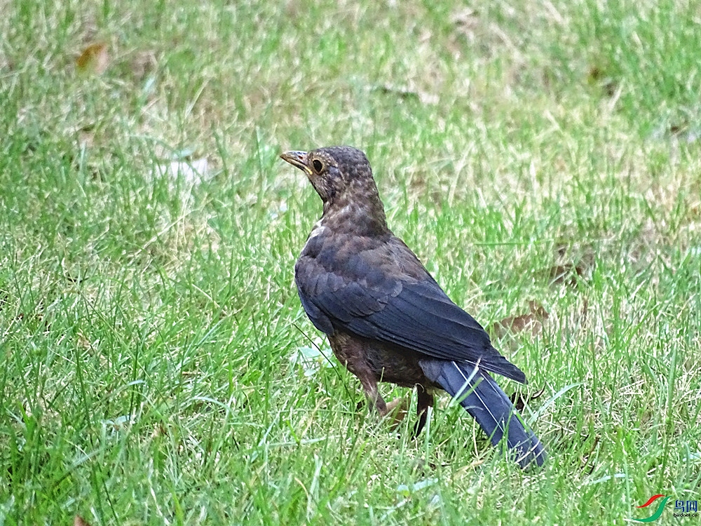 DSC02376.JPG