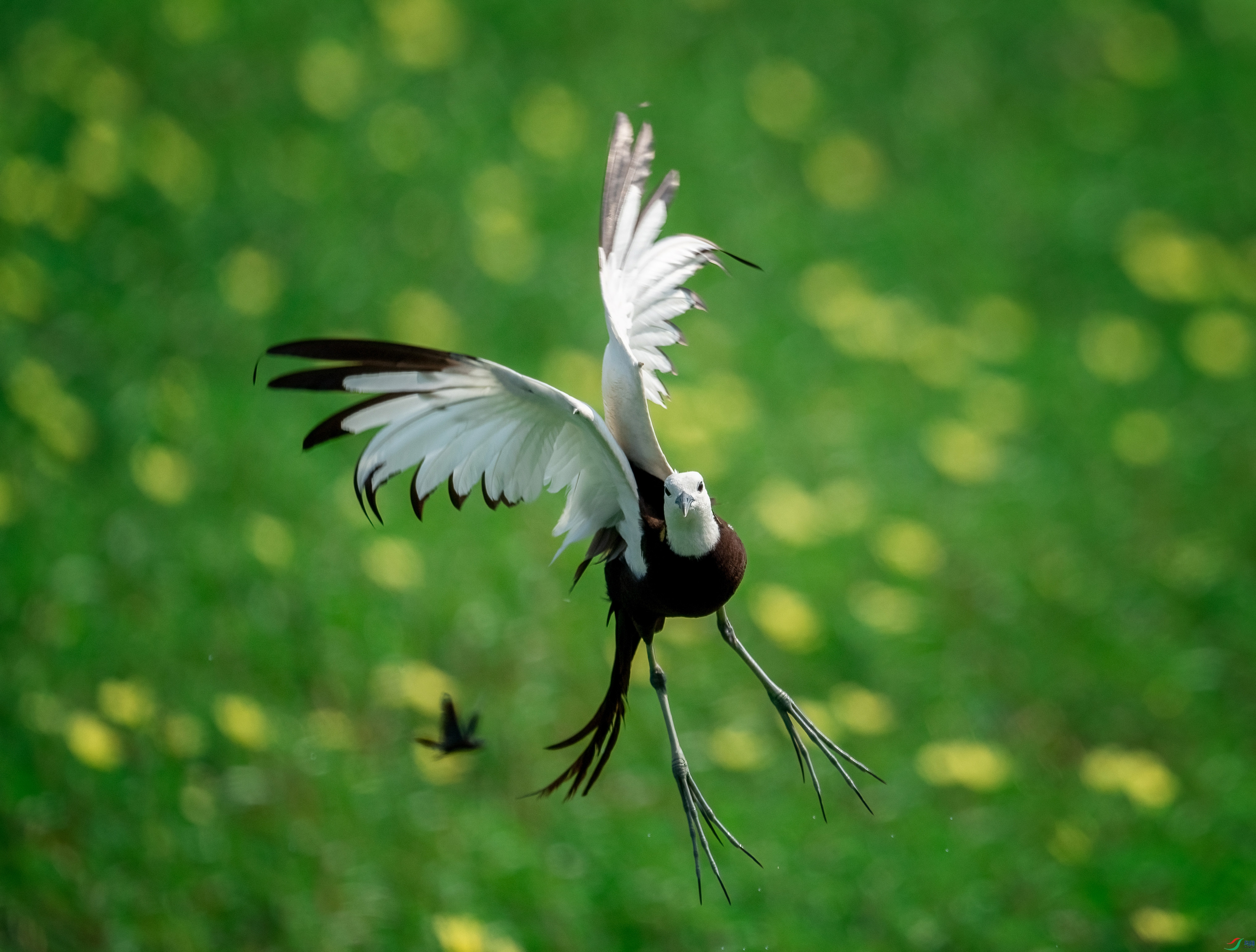 DSC06977_polarr.jpg